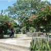 Hutan kota Bungkirit